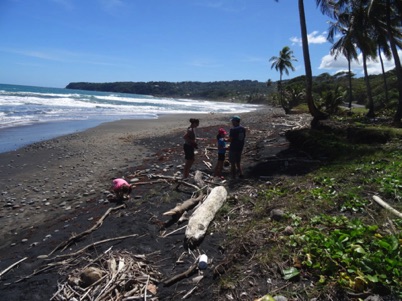 Beach combing in Dominica Beach combing in Dominica